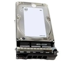 161-BCNF Dell 24TB 7.2K RPM Hot Plug Hard Drive with Tray